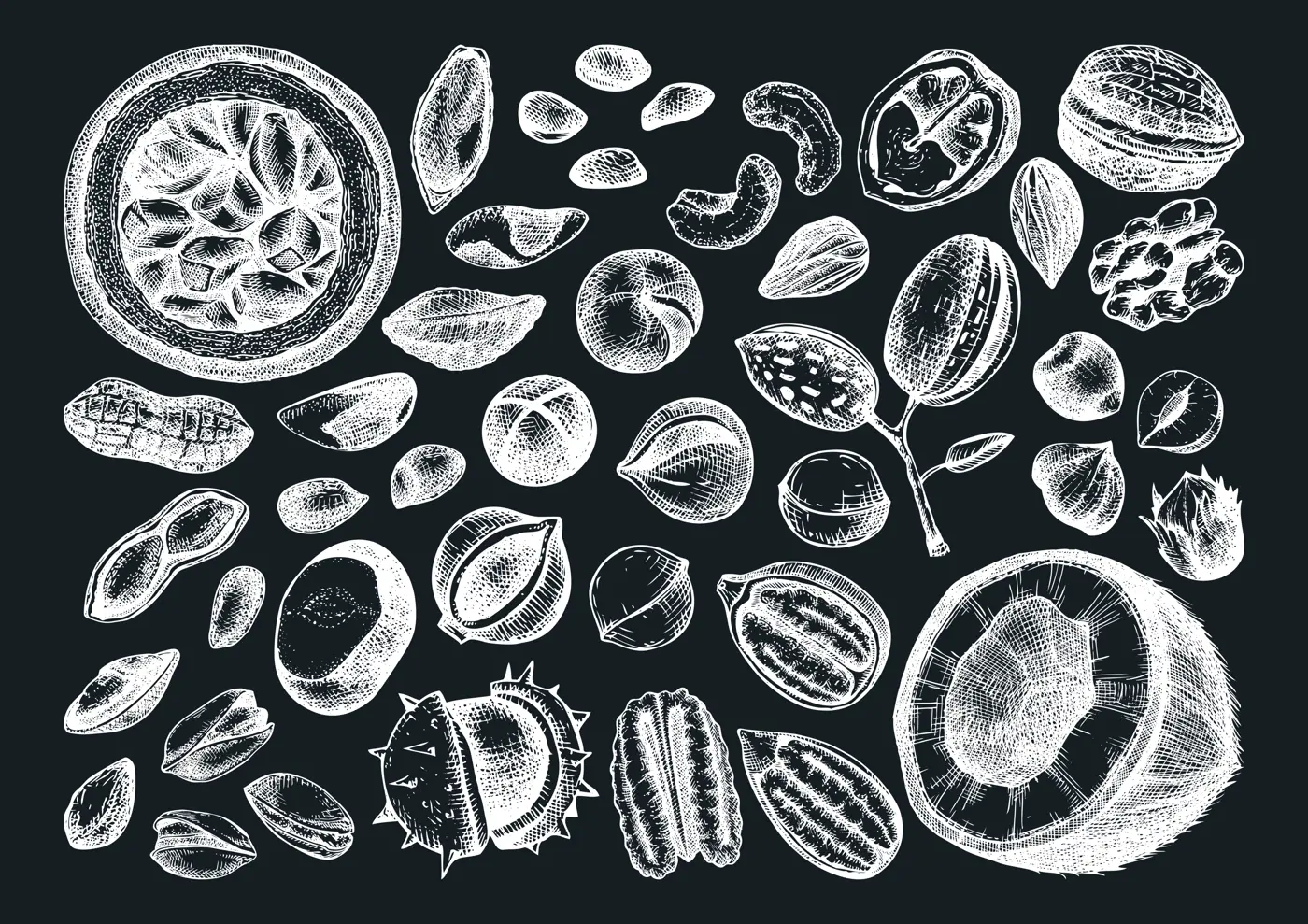 Vector nuts illustrations collection on chalkboard. Hand-drawn pecan, macadamia, pine nuts, walnut, almond, pistachio, chestnut, peanut, Brazil nut, hazelnut. Hand-sketched healthy food drawings Illustration